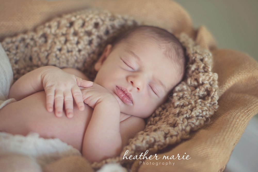 untitled-17 copy copy