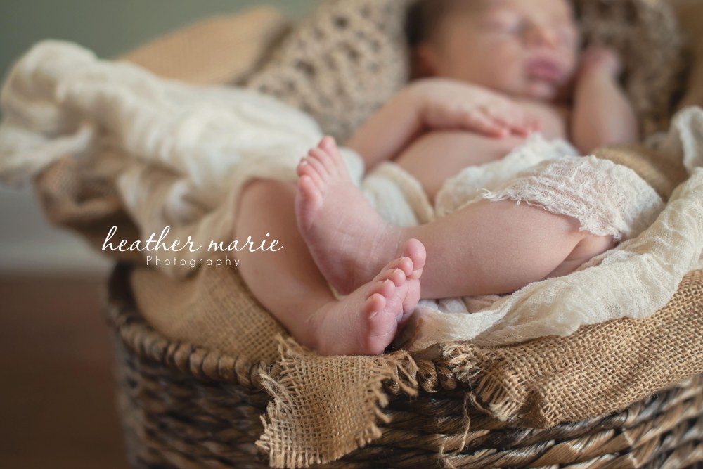 untitled-26 copy copy