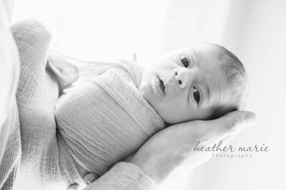 untitled-79 copy b copy