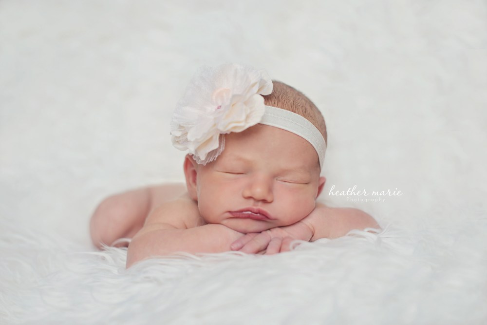 untitled-183 copy 2 copy