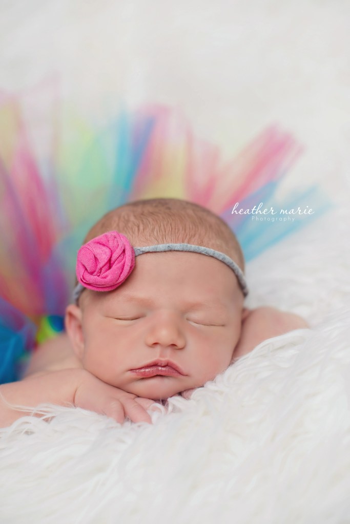 untitled-221 copy 1 copy