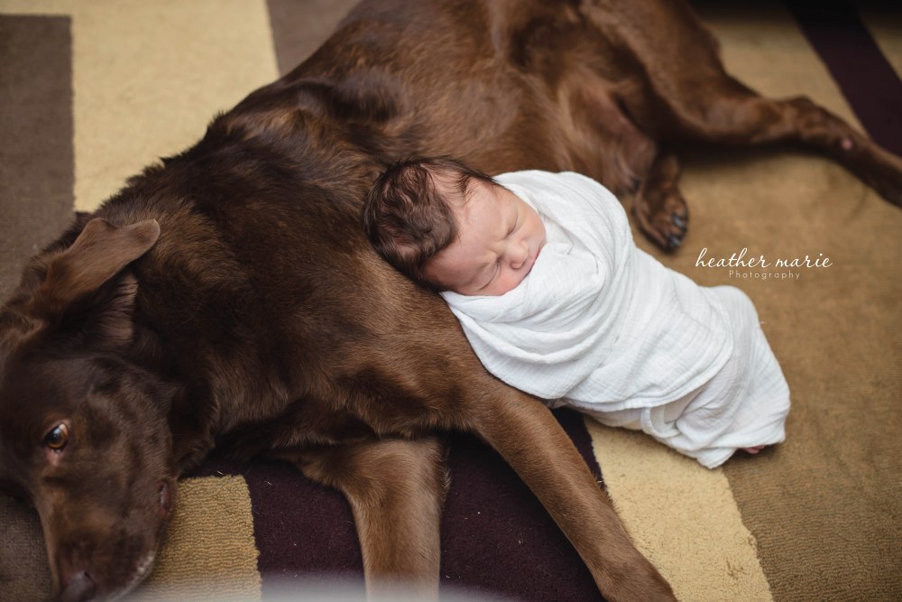 untitled-70 copy copy