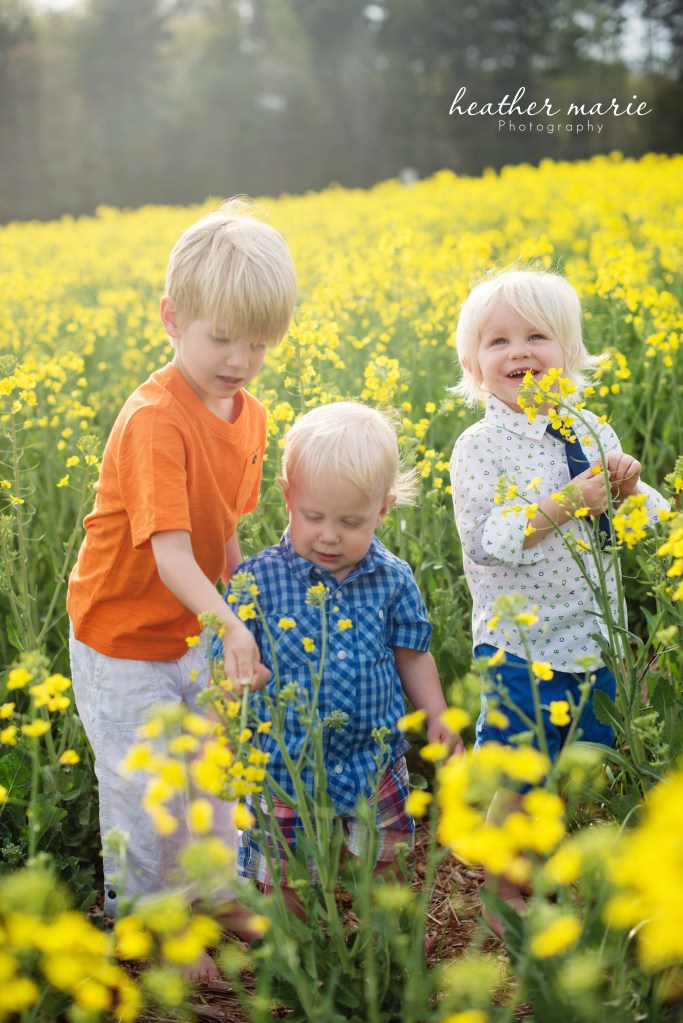 Spring13-13 copy copy