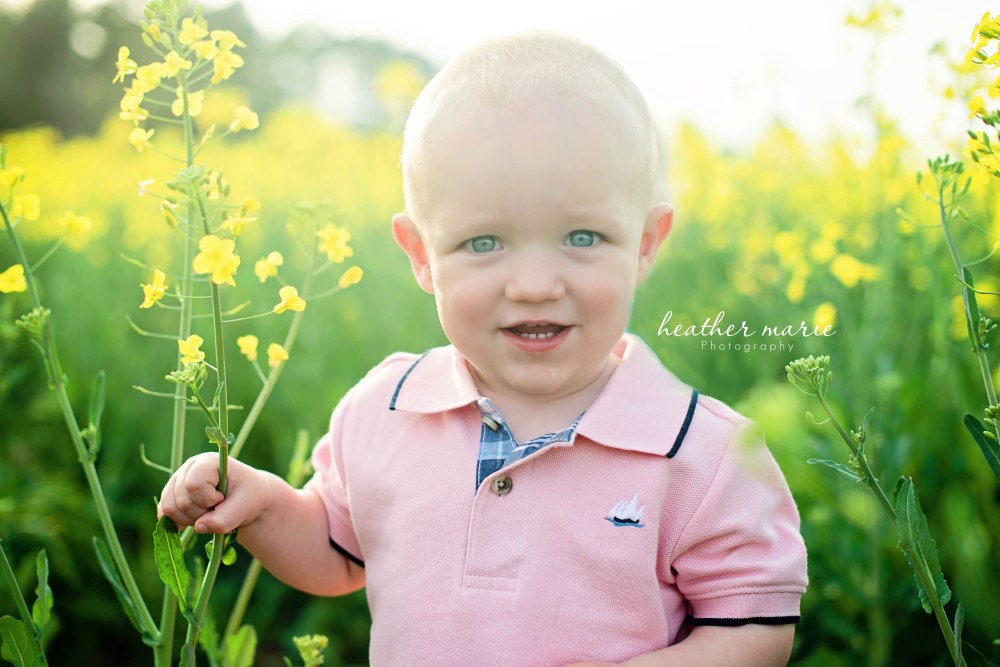 Spring13-190 copy copy