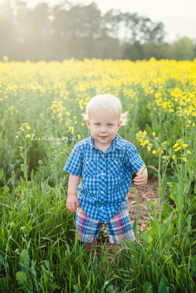 Spring13-195-2 copy copy