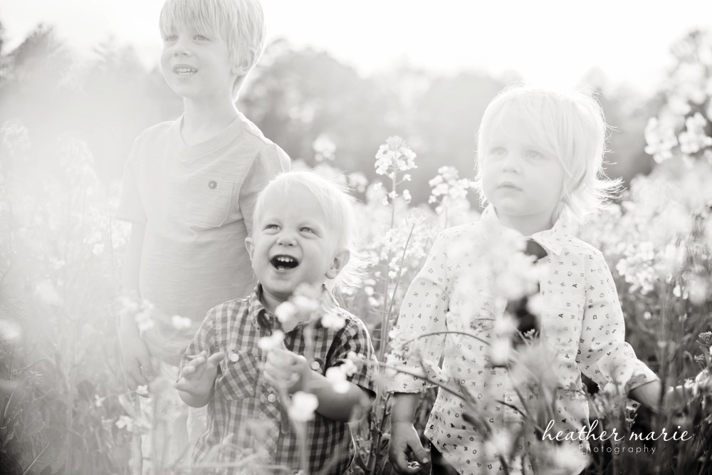 Spring13-34-2 copy copy