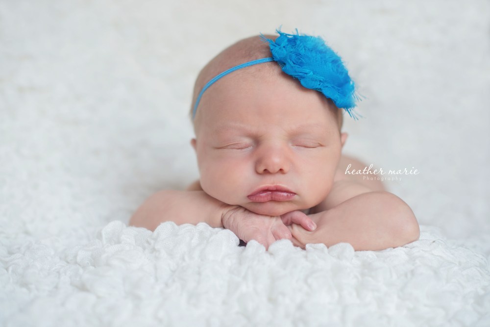 untitled-233 copy copy