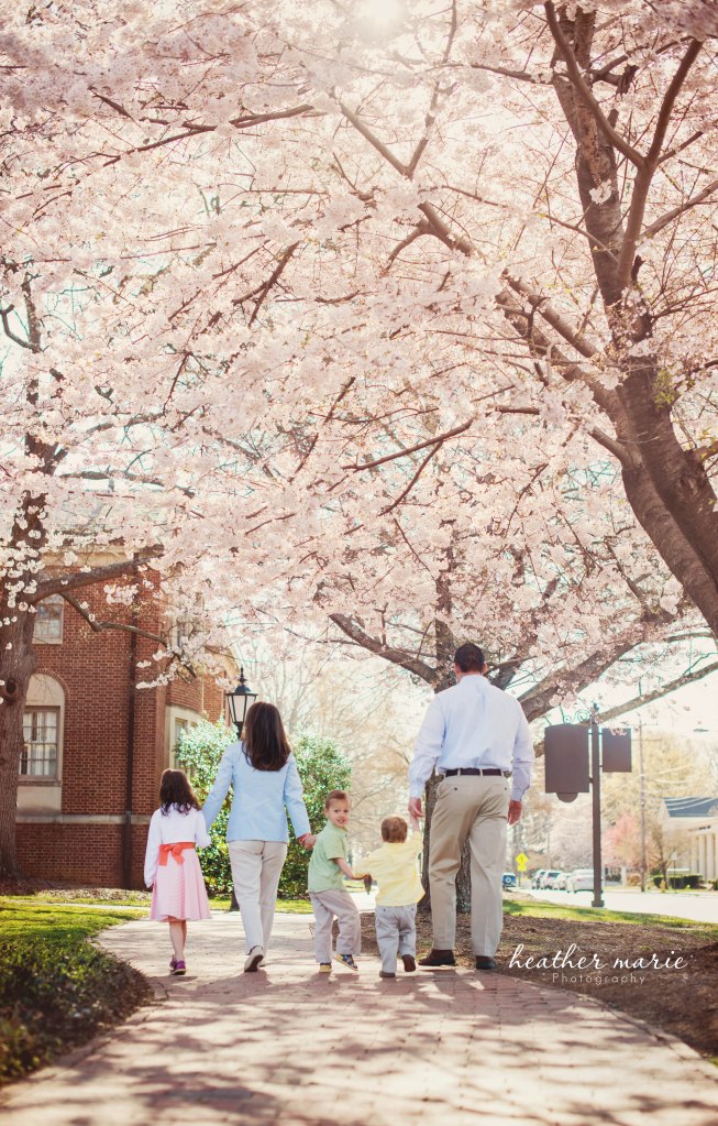 untitled-3 copy copy