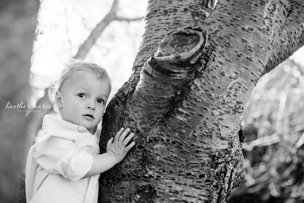 untitled-75-2 copy copy