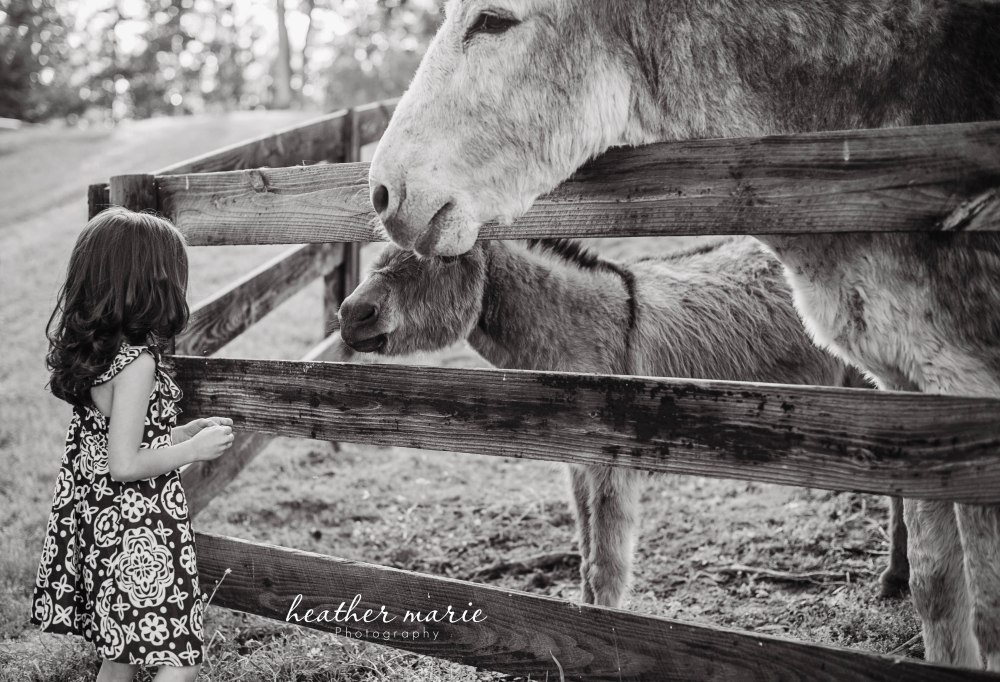 untitled-136-2 copy copy