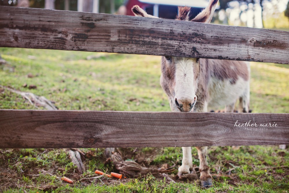 untitled-138 copy copy