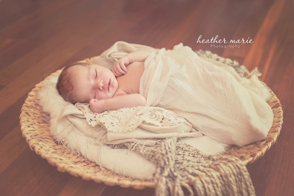 untitled-186 copy 1 copy