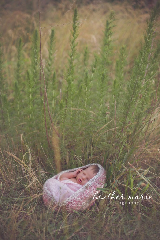 untitled-239 copy copy