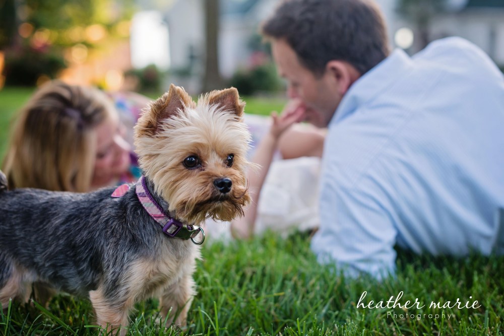 untitled-249 copy copy