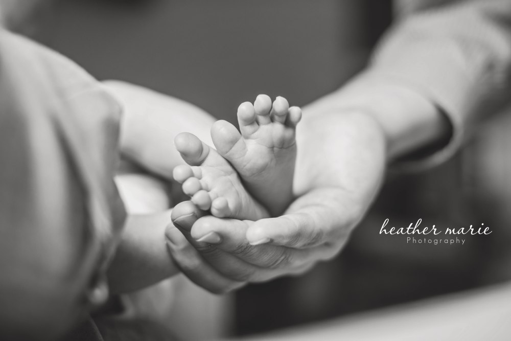 untitled-143 copy copy