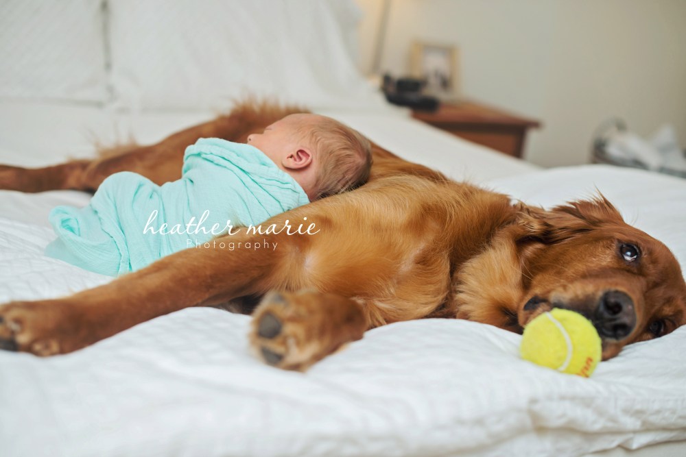 untitled-108 copy copy