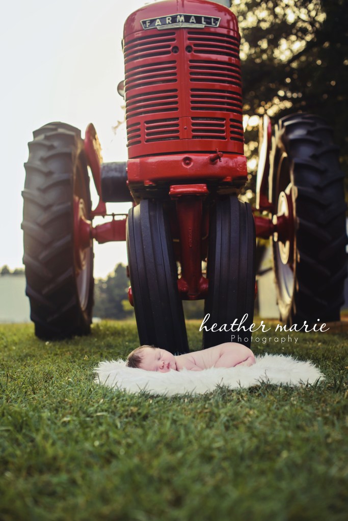 untitled-29-3 copy1 copy