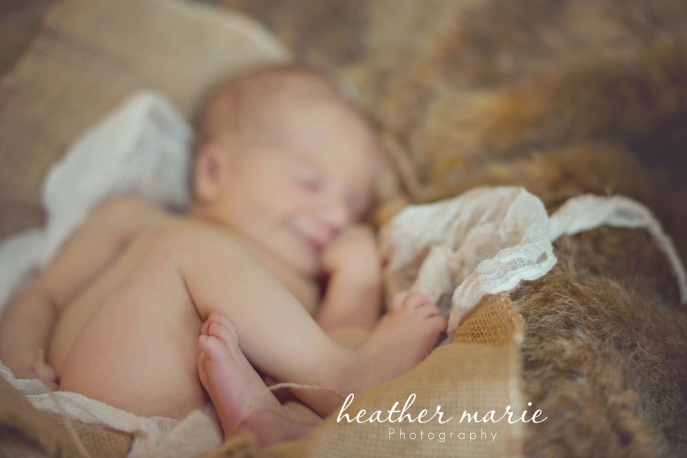 untitled-316 copy 1 copy