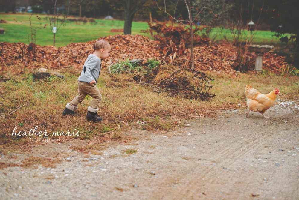 untitled-321 copy copy