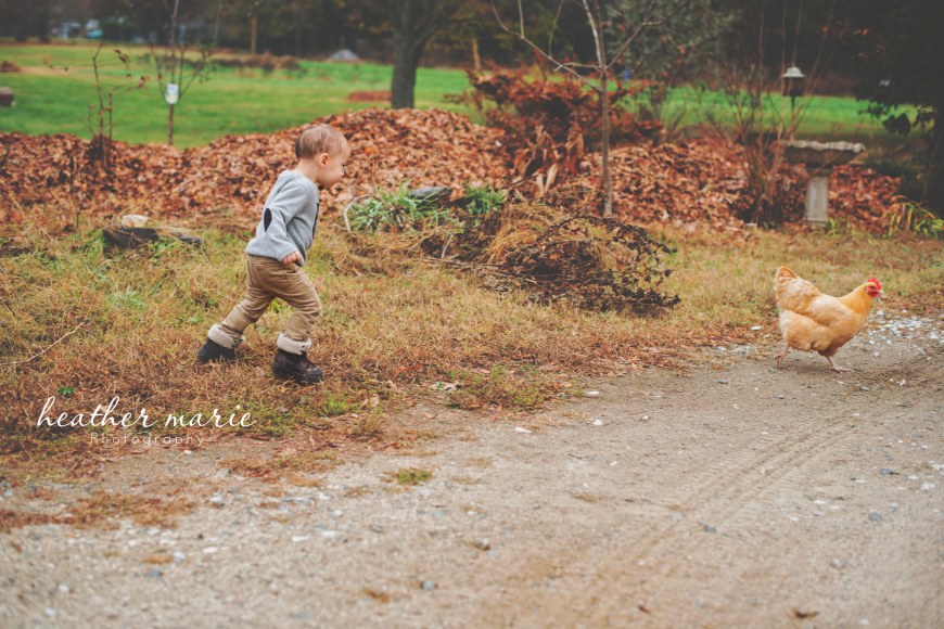 untitled-321 copy copy