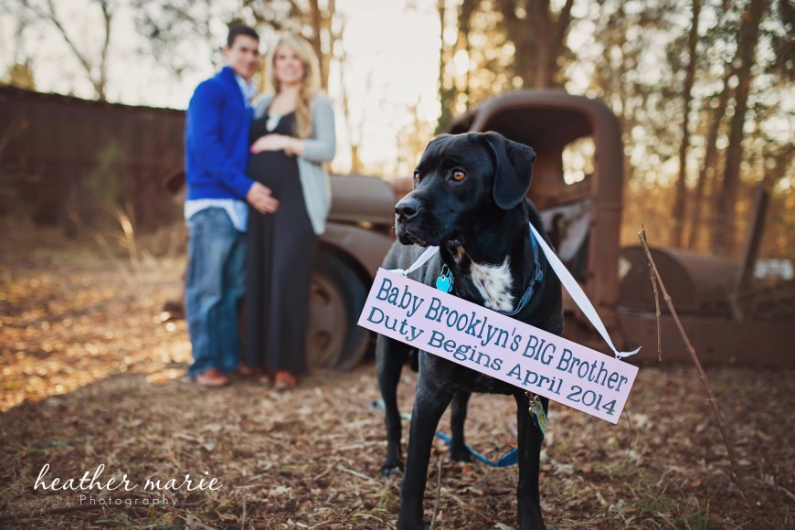 untitled-119 copy 1 copy