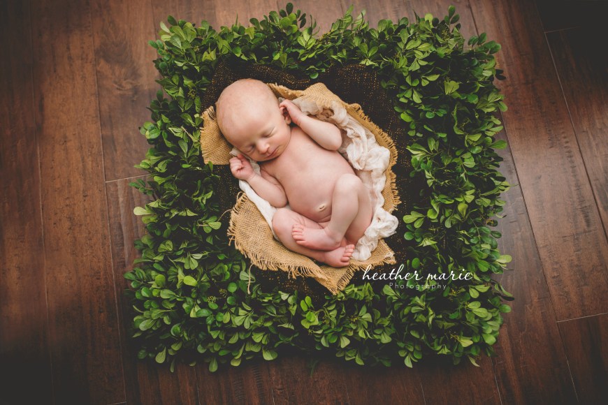 untitled-165 copy copy