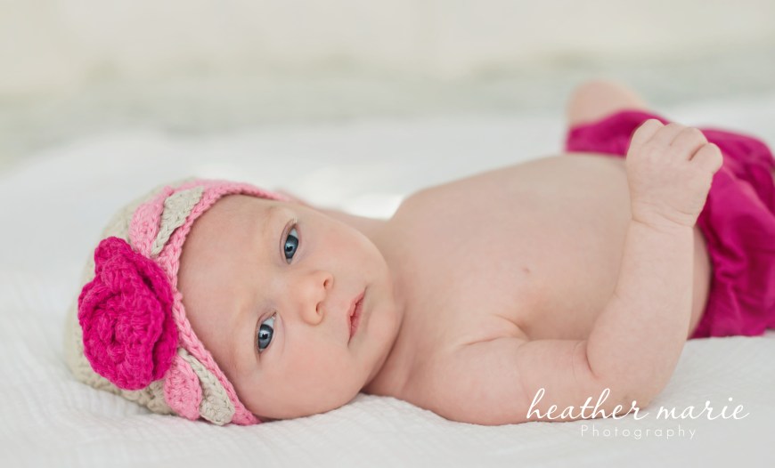 untitled-231 copy 1 copy