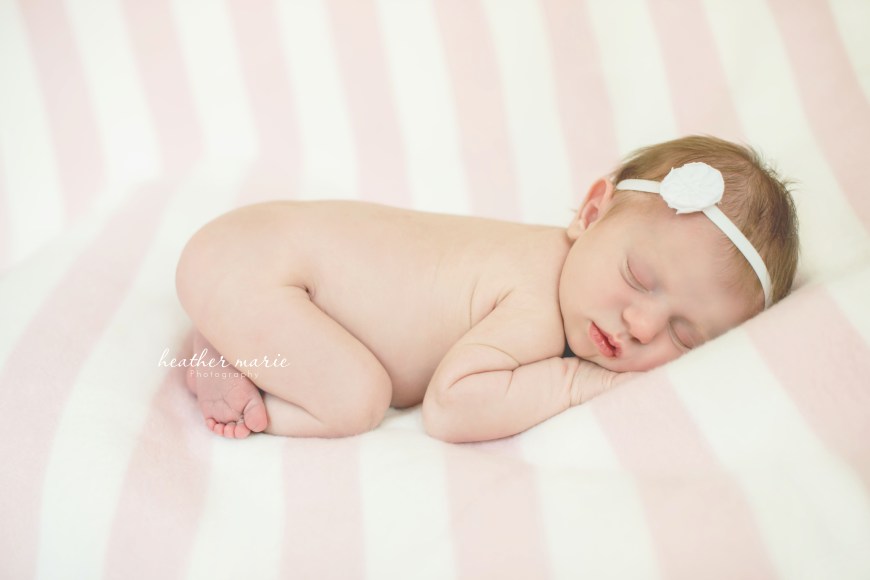 untitled-1 copy copy