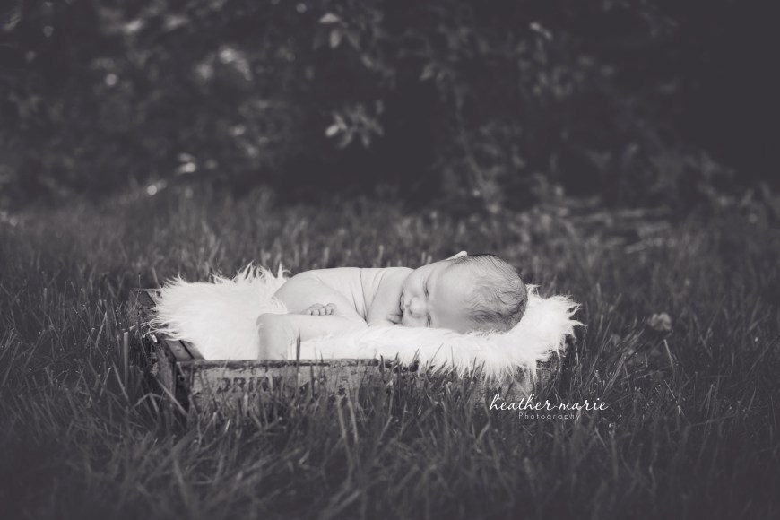 untitled-149-2 copy b copy