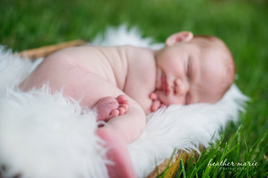 untitled-157 copy copy