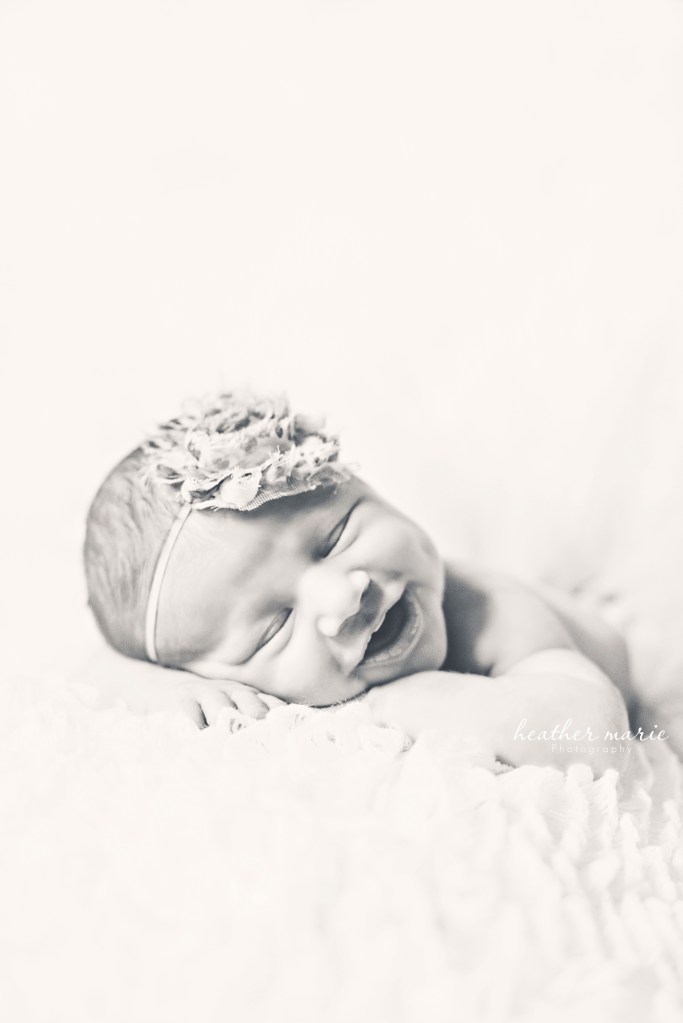 untitled-13 copy b copy