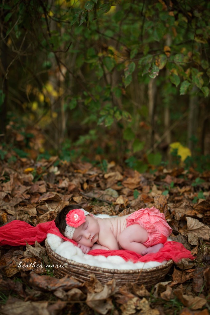 untitled-186 copy copy