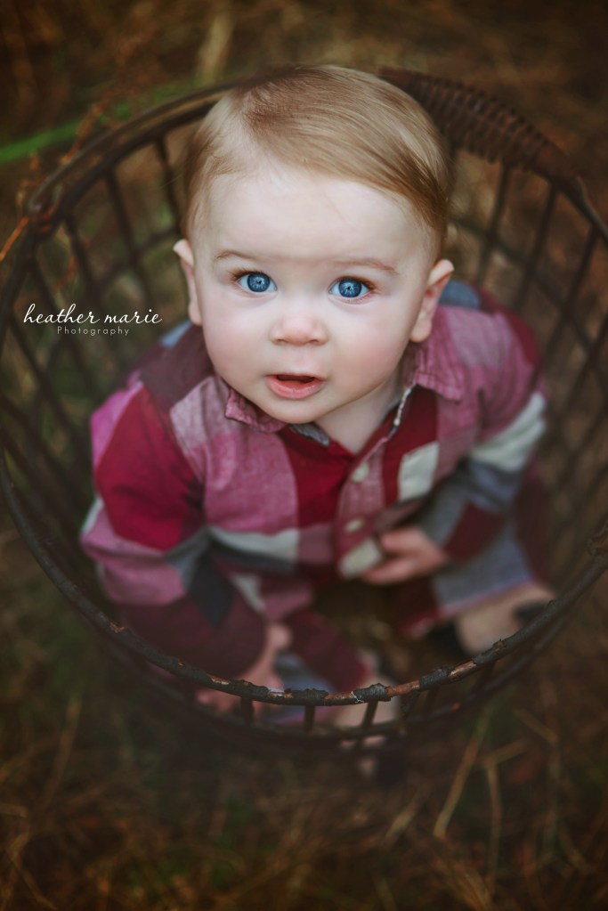 untitled-277 copy 1 copy