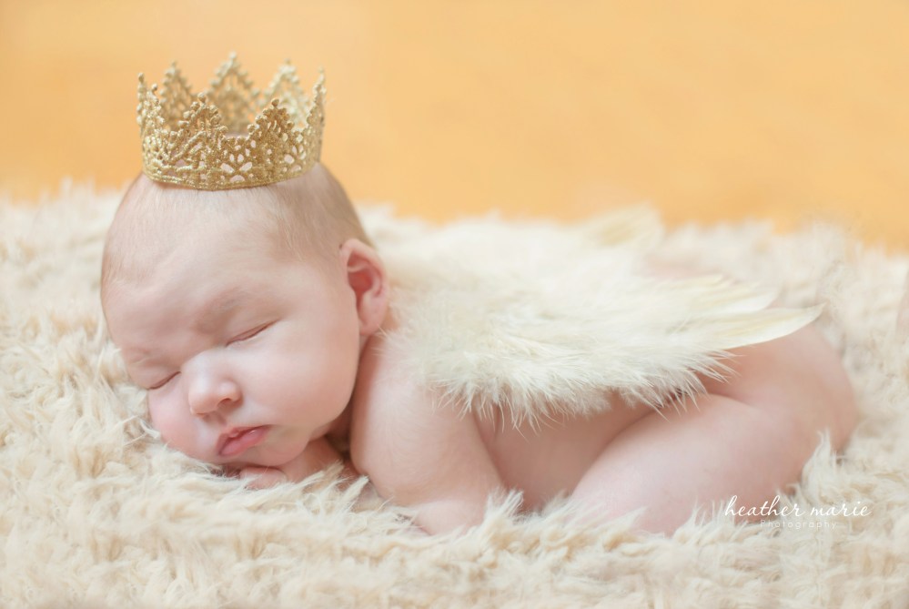 untitled-200 copy 2 copy