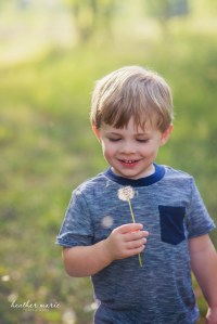 untitled-260 copy copy