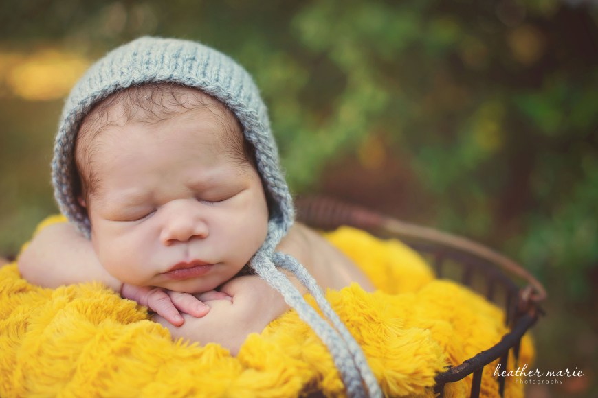 untitled-36 copy 2 copy