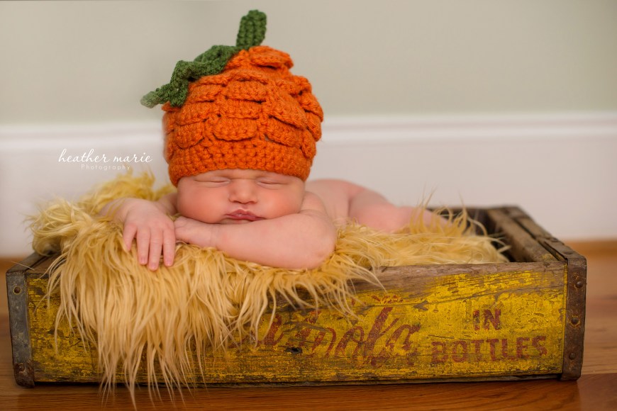 untitled-172 copy copy