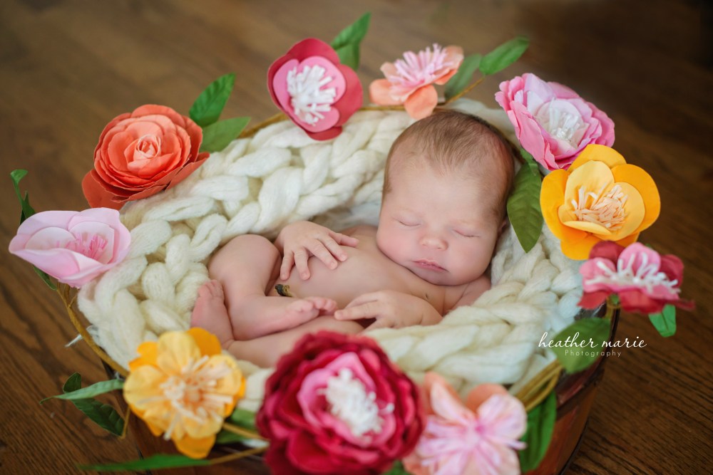 untitled-539 copy 1 copy