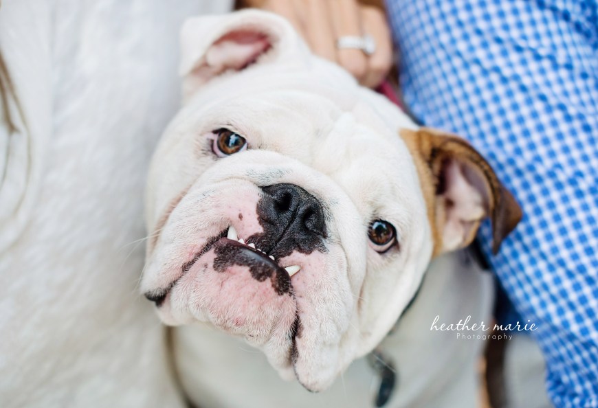 untitled-222 copy crop copy