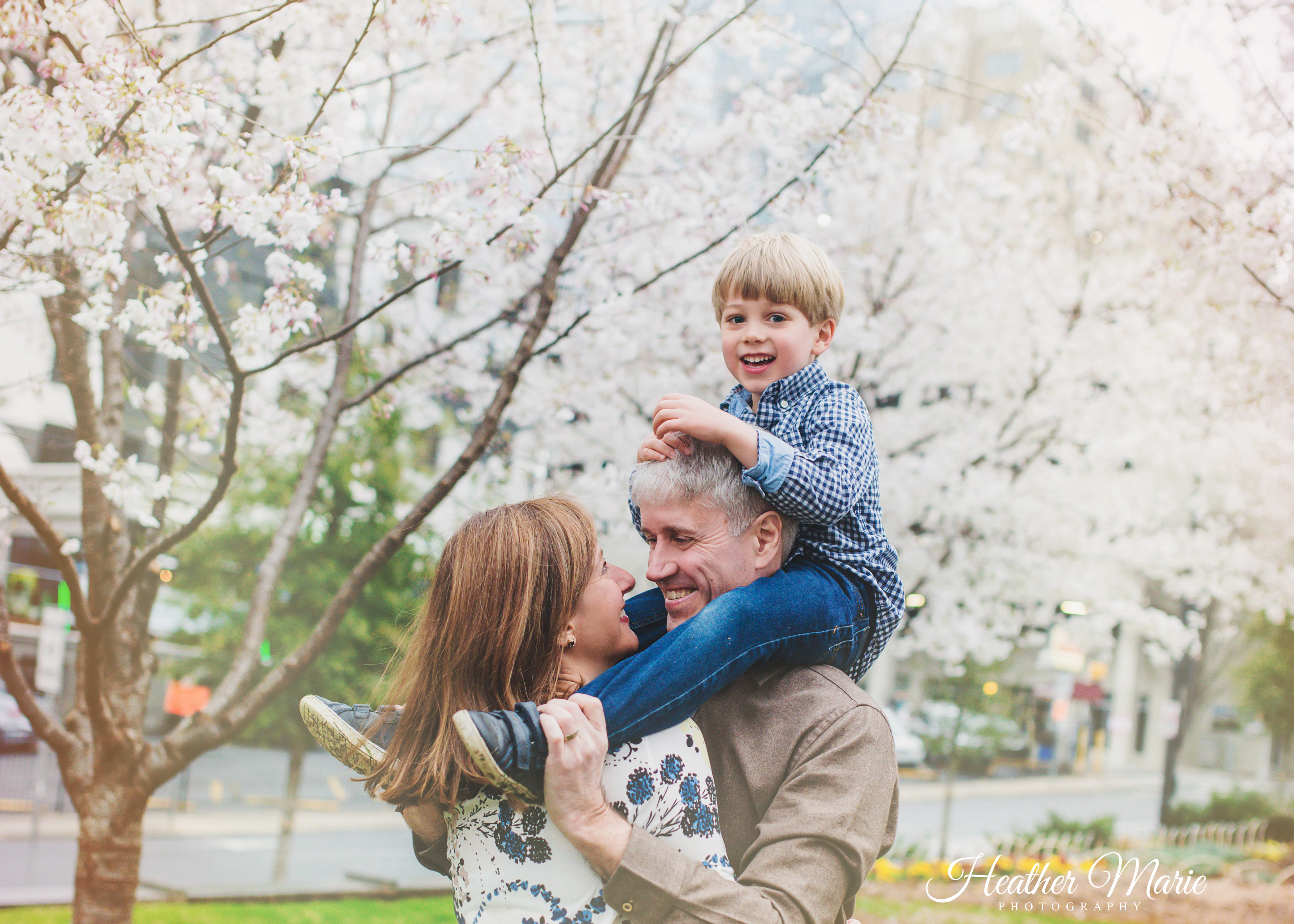 DSC_2066 crop 1 copy copy 1