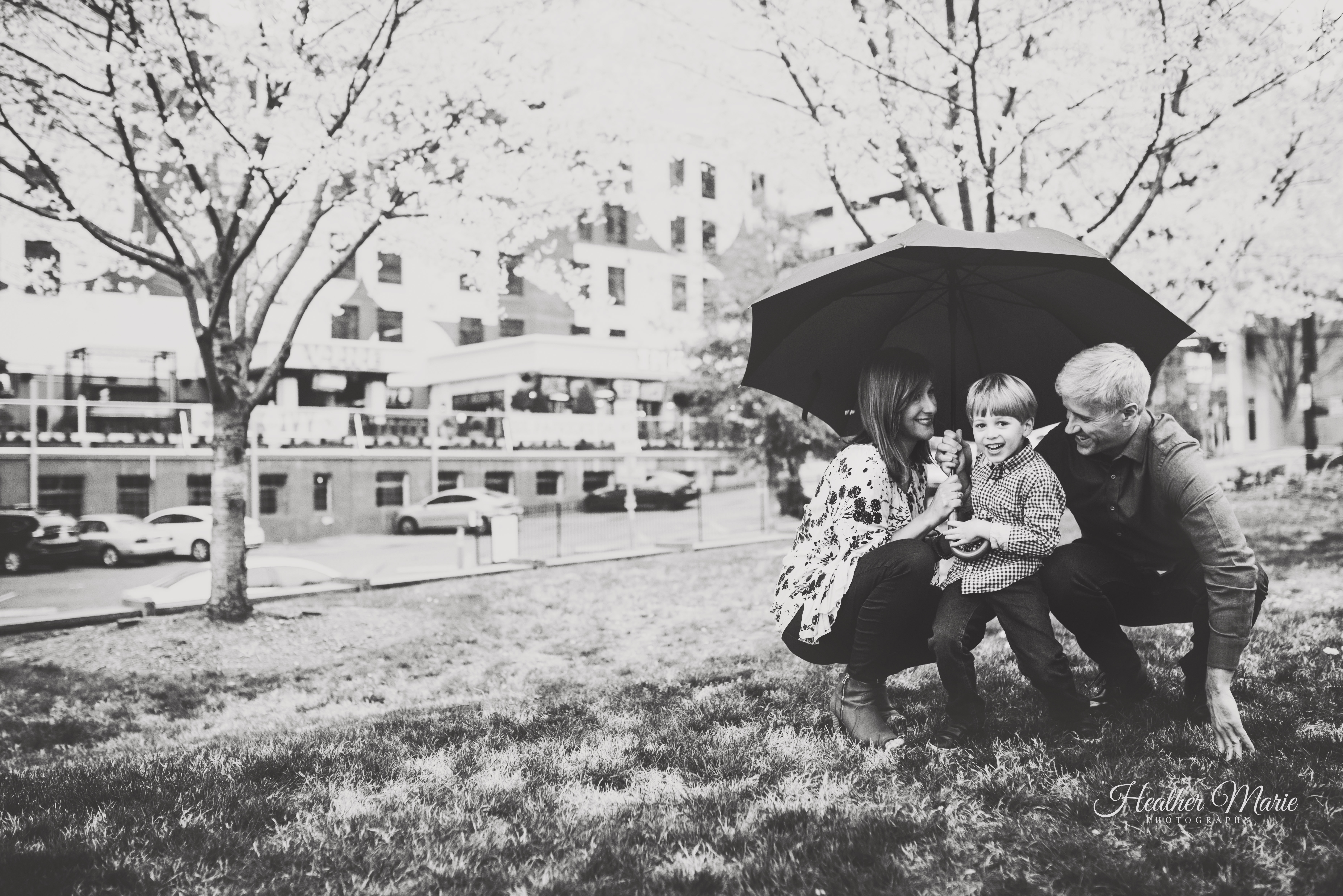 DSC_2109-2 copy copy