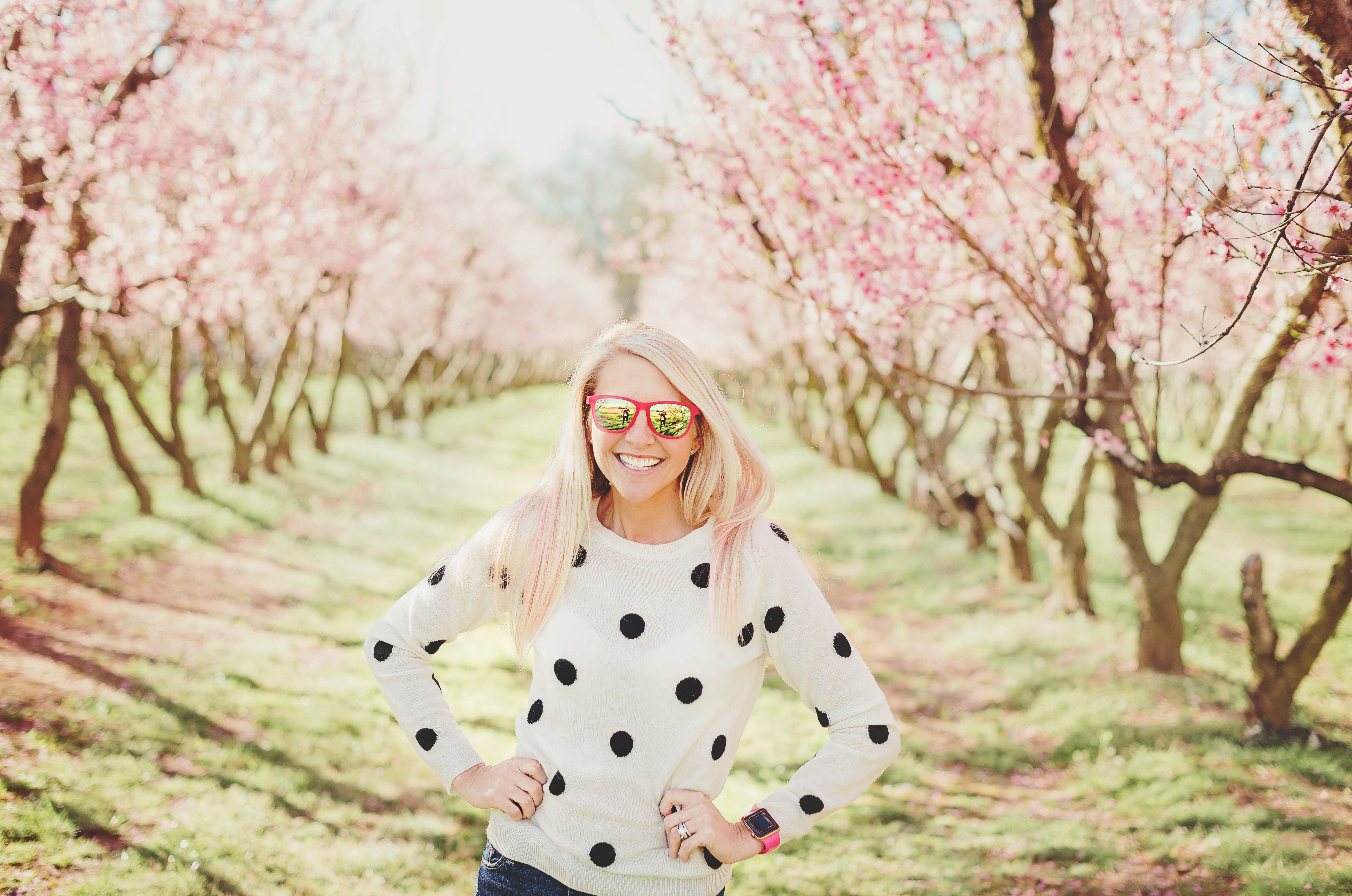 DSC_0182-2 copy 1 copy